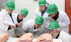 CSU students to represent Australia in meat judging 