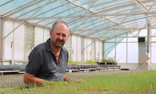 CSU Research: Link discovered between herbicide resistance and cropping practice