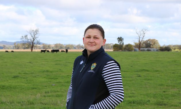 Charles Sturt research examines pre-feedlot vaccination and cattle weight loss 