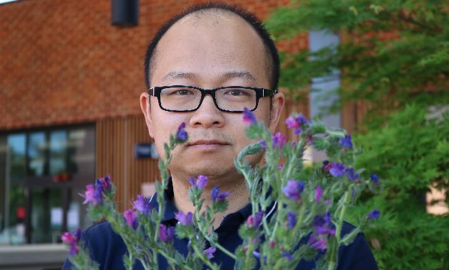 Charles Sturt ‘DNA detectives’ trace journey of an invasive weed