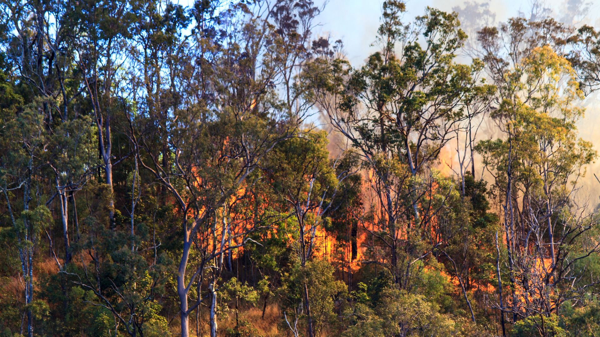 Charles Sturt boosts ADF emergency response capacity