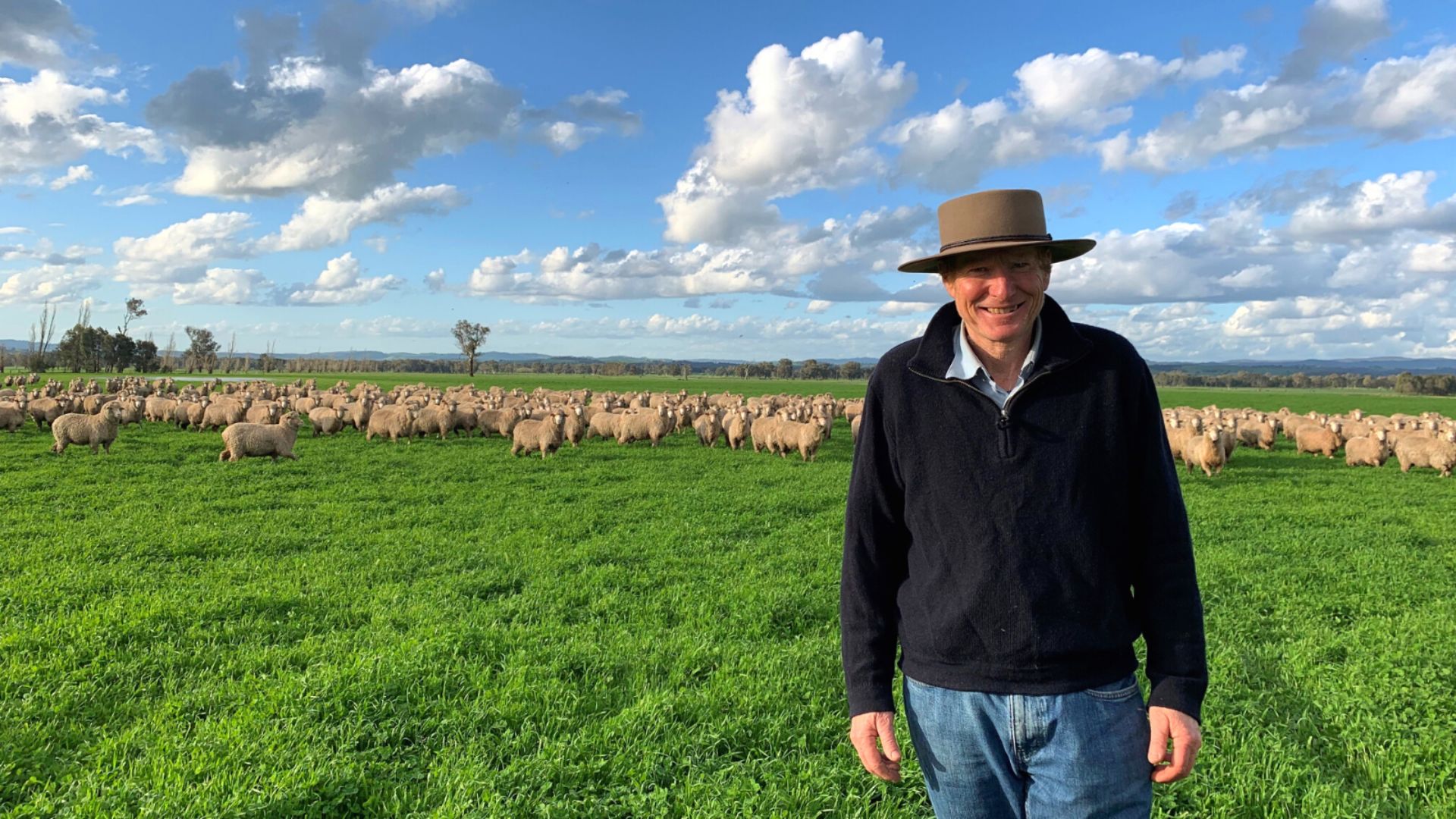 Benchmarking sustainability of Australian sheep industry