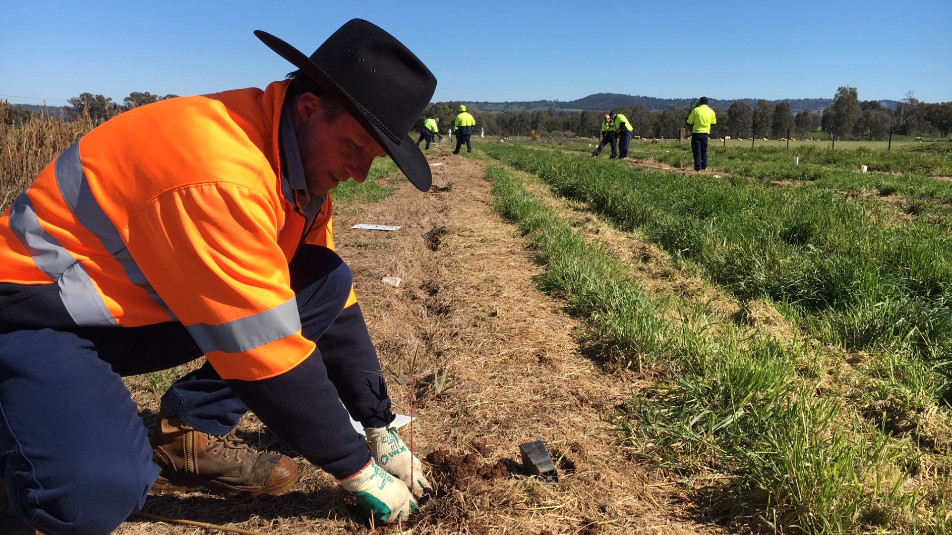 Charles Sturt releases the 15th annual Sustainability Scorecard on World Environment Day 