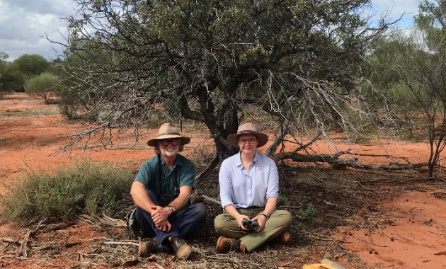 New research: Australian sandalwood a keystone resource for native fauna in arid rangelands