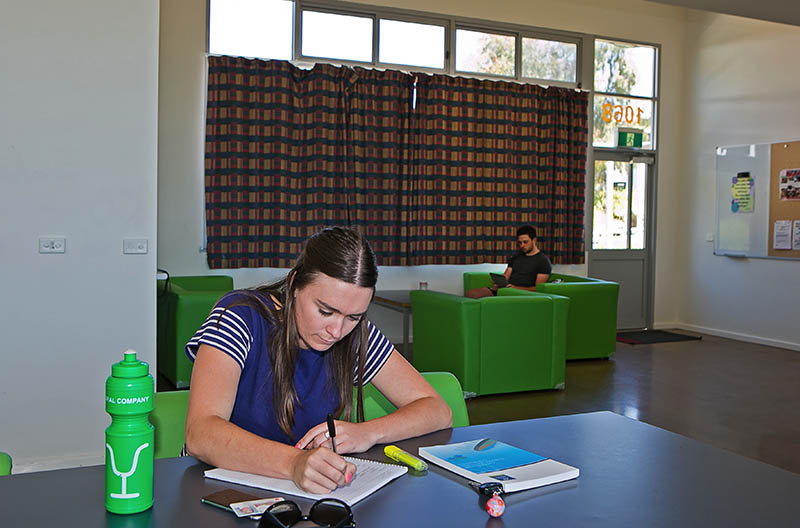 Students studying and relaxing in the common area