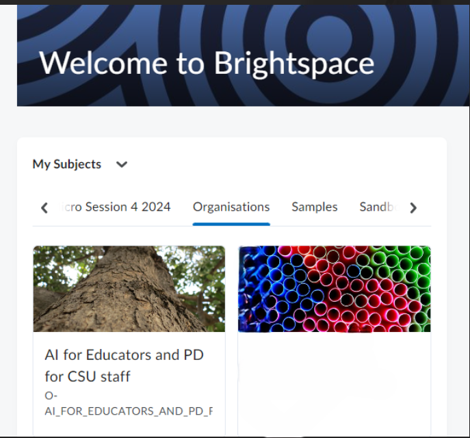 Brightspace Image
