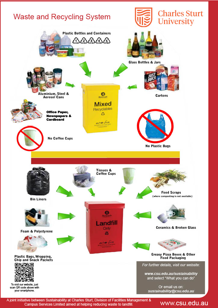 Recycling poster describing items that can be placed in various bins