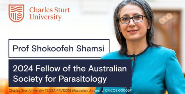 Professor Shokoofeh Shamsi