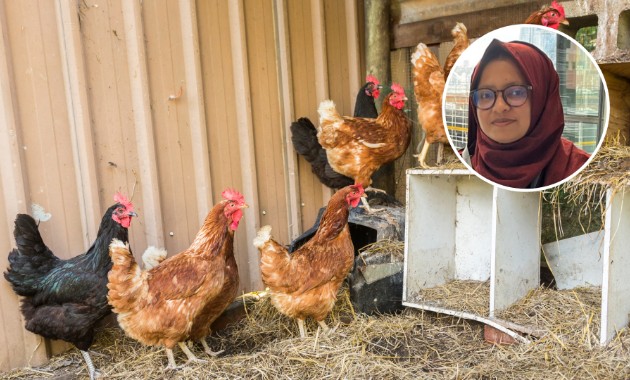 Great ‘eggs-pectations’ from PhD research 