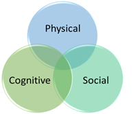 Wellness incorporates physical, cognitive and social aspects