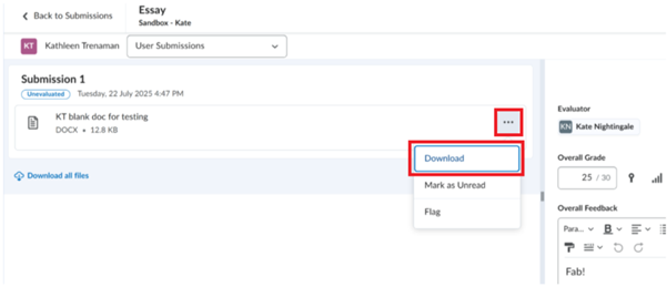 Screen capture of the Submission Evaluation screen. The image depicts how to download the student submission from this screen. 
