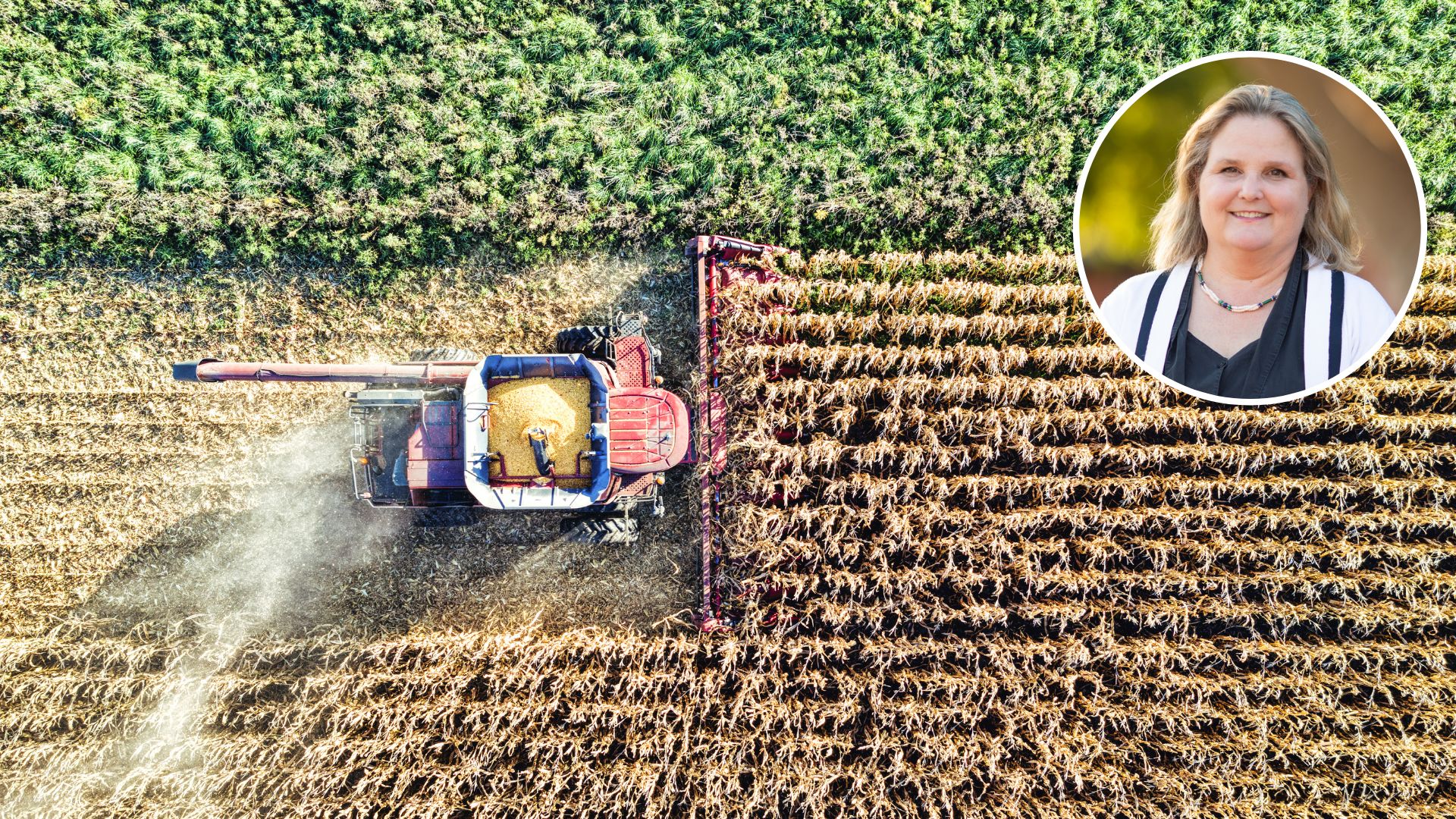 Charles Sturt program to focus research on four key agricultural issues 