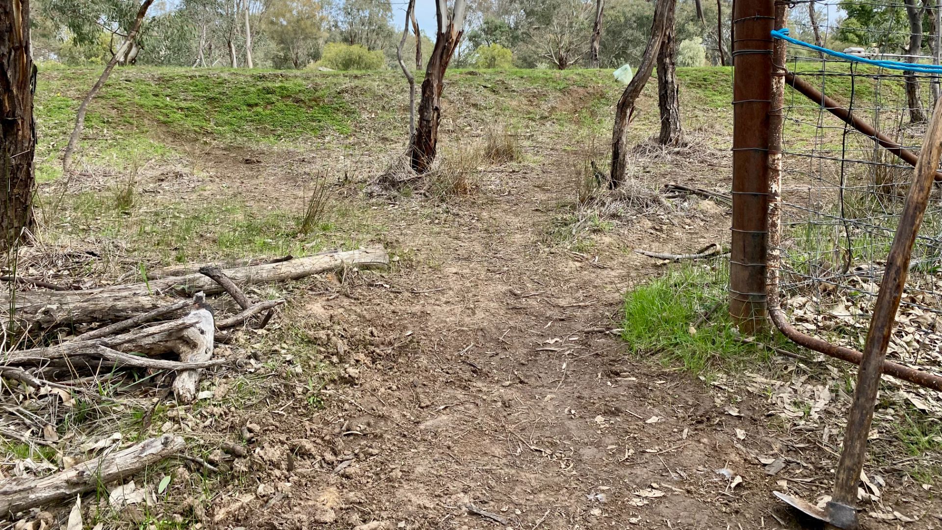 Of parks and paddocks