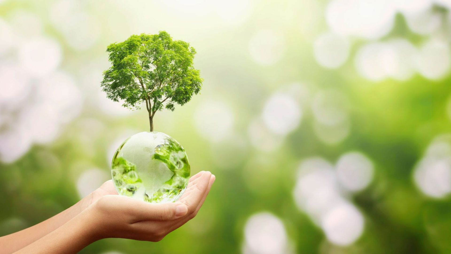 Charles Sturt’s sustainability leadership proven once again