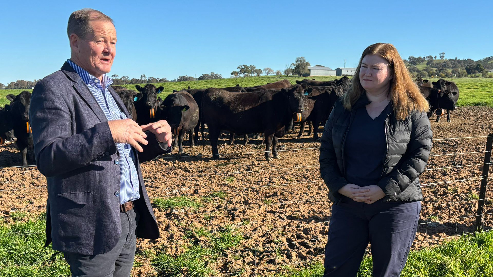 Virtual fences, real benefits: positive trial results indicate a game-changer for livestock sector
