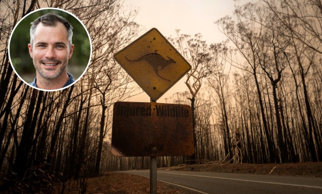 Research to reveal how – and if – Australia's native animals will survive ever-increasing bushfires