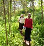 CSU academic Dr Elaine Dietsch and her guide Yagi walk through the jungle to a village near Bukavu in the Democratic Republic of Congo in January 2006.