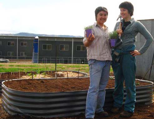 At the student vegetable patch at CSU at Wagga Wagga is student Ms Gemma Hawkins (right) with fellow student Ms Alyssa Ng. 
