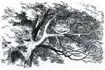 The Cheshire Cat in Alice in Wonderland. Wood-engraving by Thomas Dalziel.