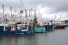 Fishing boats in Port Lincoln, SA. Photo: FRDC