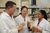 PhD student Mrs Soumi Paul Mukhopadhyay (right) with supervisor Associate Professor Chris Blanchard and another PhD student Ms Christina Chin.