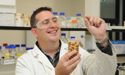  Professor Chris Blanchard