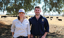 The Graham Centre for Agricultural Innovation and Angus Australia bring in new crop of interns