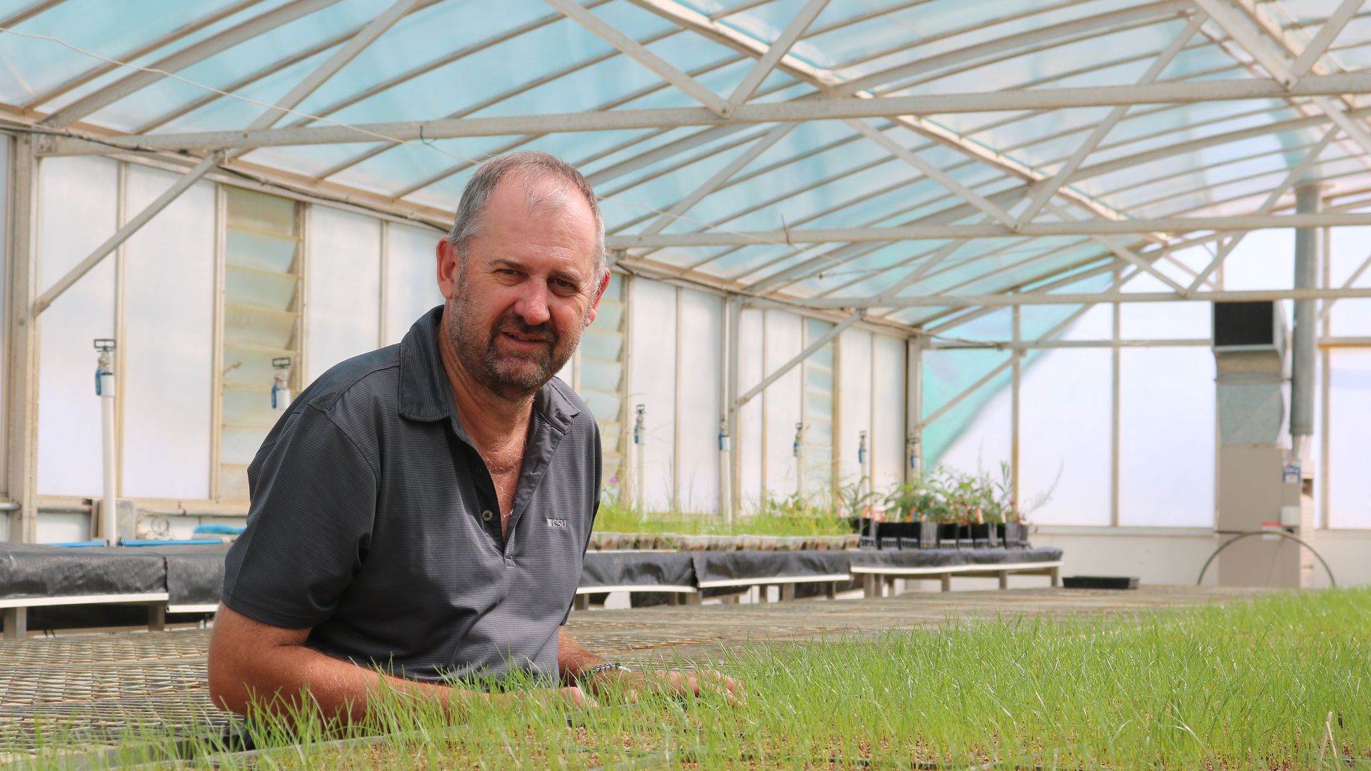 CSU Research: Link discovered between herbicide resistance and cropping practice