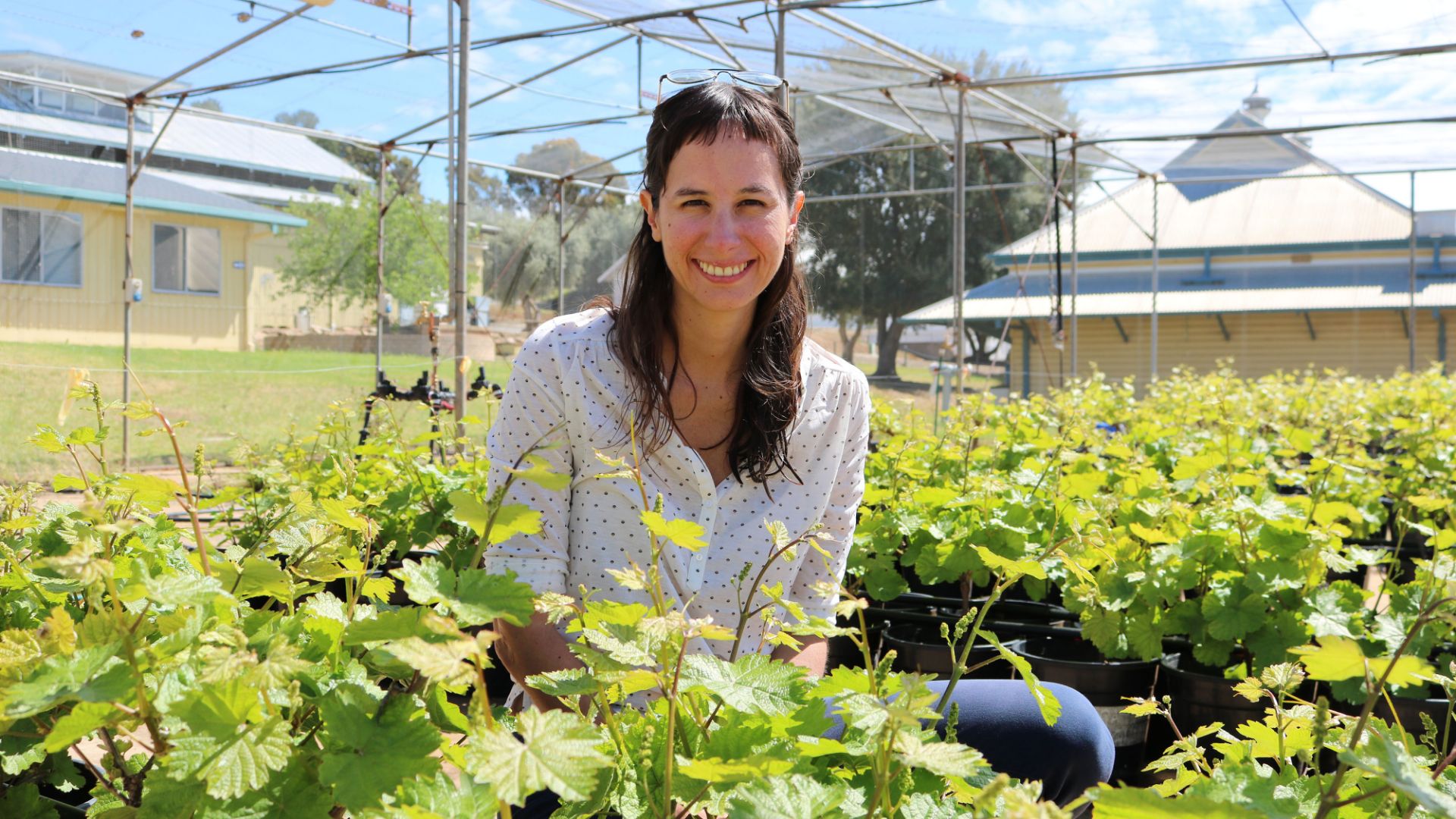 National recognition for Charles Sturt wine researcher 