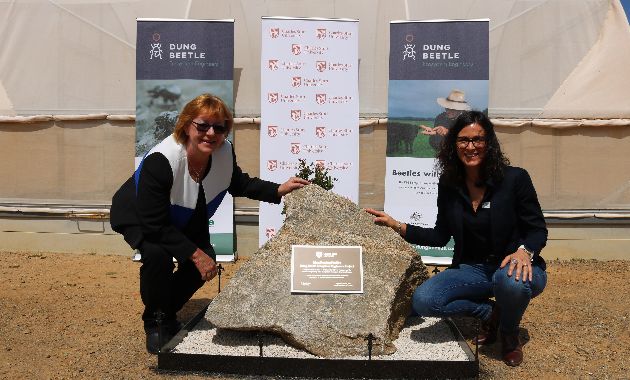 Charles Sturt celebrates milestone in national dung beetle research