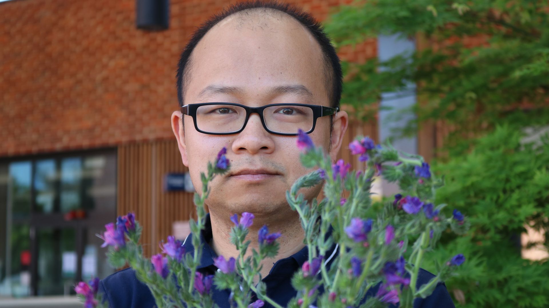 Charles Sturt ‘DNA detectives’ trace journey of an invasive weed