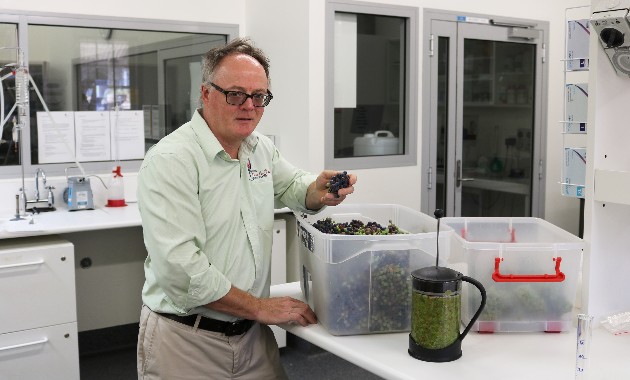 Charles Sturt’s small-scale winemaking to assess smoke taint 