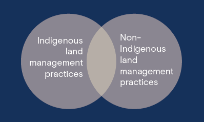 Venn diagram with Synergy Indigenous land management and non-indigenous land management circles overlapping