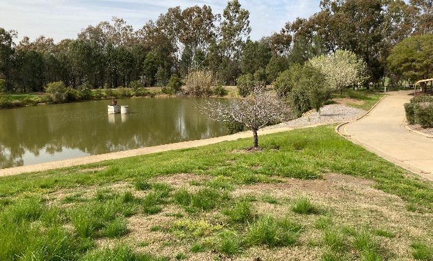 Charles Sturt announces winners for annual sustainability grants program