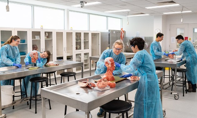 Joint Program in Medicine information nights for prospective students