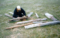 Grassland Logs