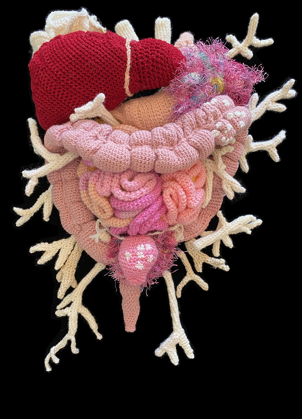 Crochet organs including liver, bowel and coral branches.