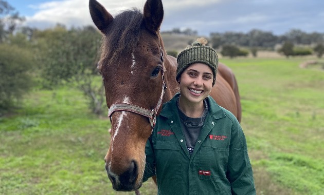 Research explores retired racehorses in Australia; owners sought for survey