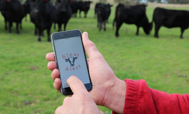 App to detect cattle bloat in southern NSW now available for Android users 