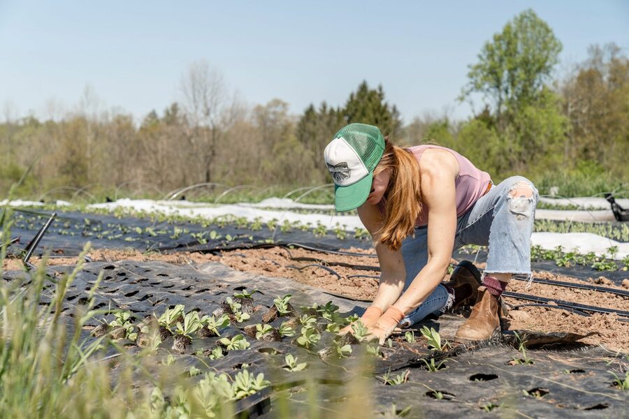 Regenerative gardening space and gardener