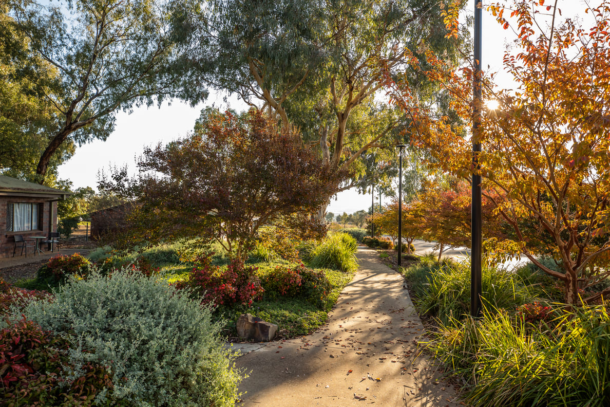 Wagga cottage external pathway