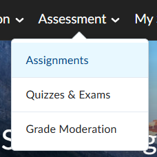 Accessing assignments on the subject admin page by selecting the assignments link