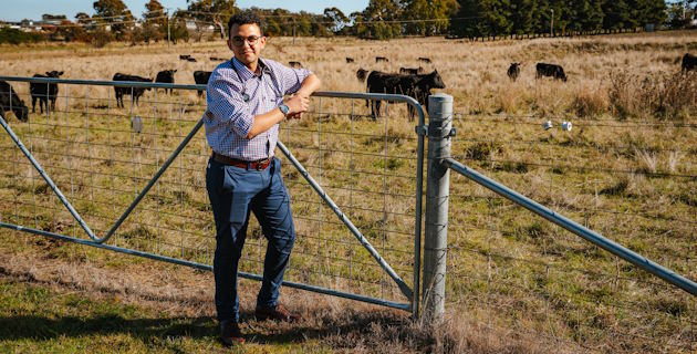 Improving red meat traceability in Australia