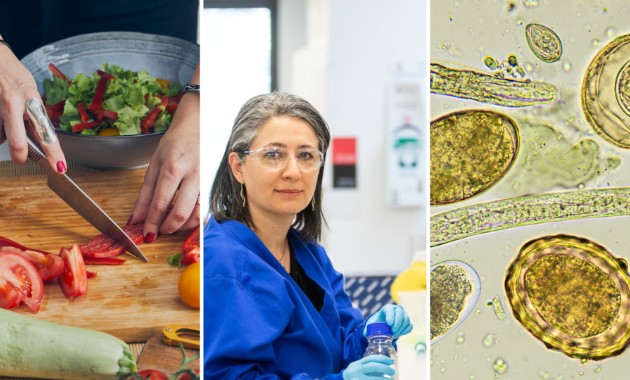 If you drop food on the floor … ? Don’t swallow the myth; food poisoning myths busted