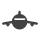 plane icon