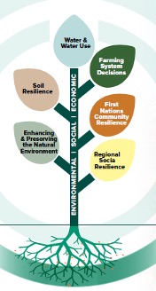 Impact roadmap infographic