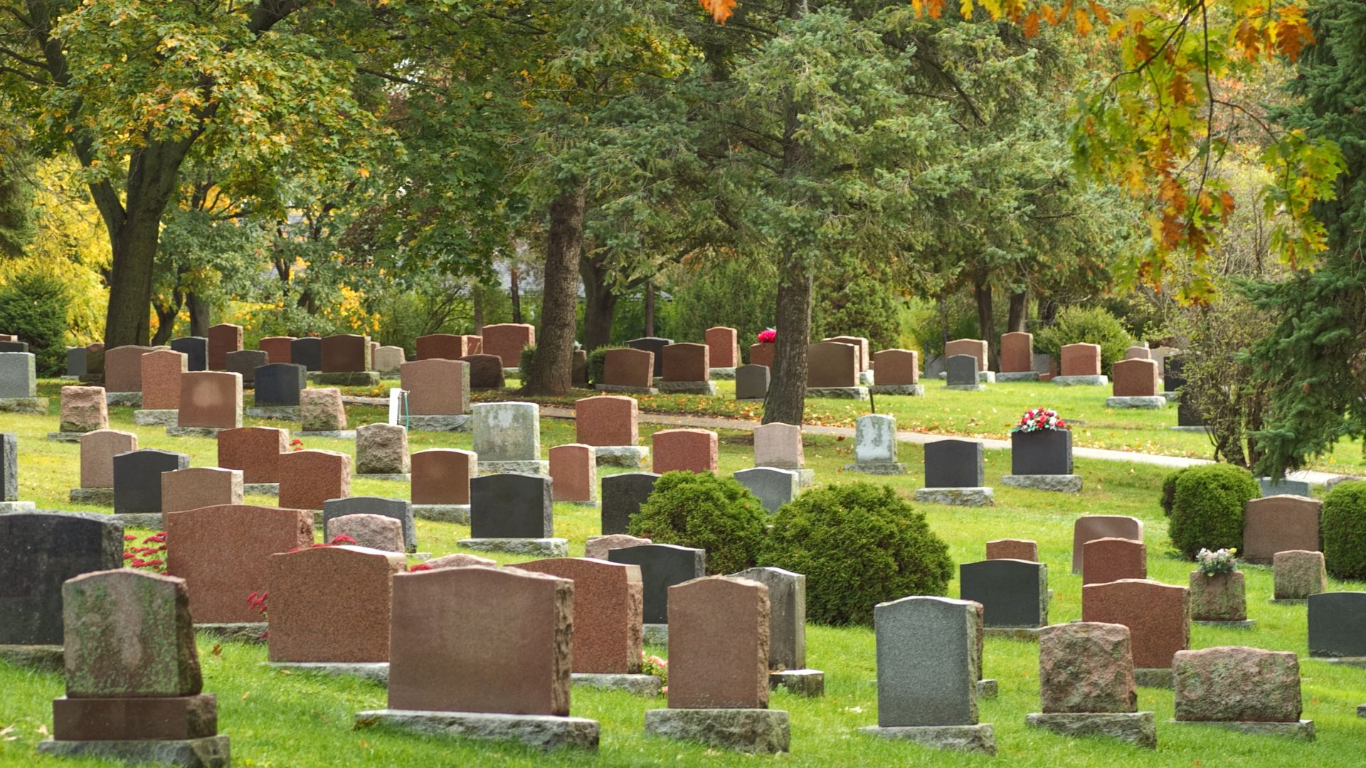 Voluntary assisted dying research reveals rural and remote communities are disadvantaged