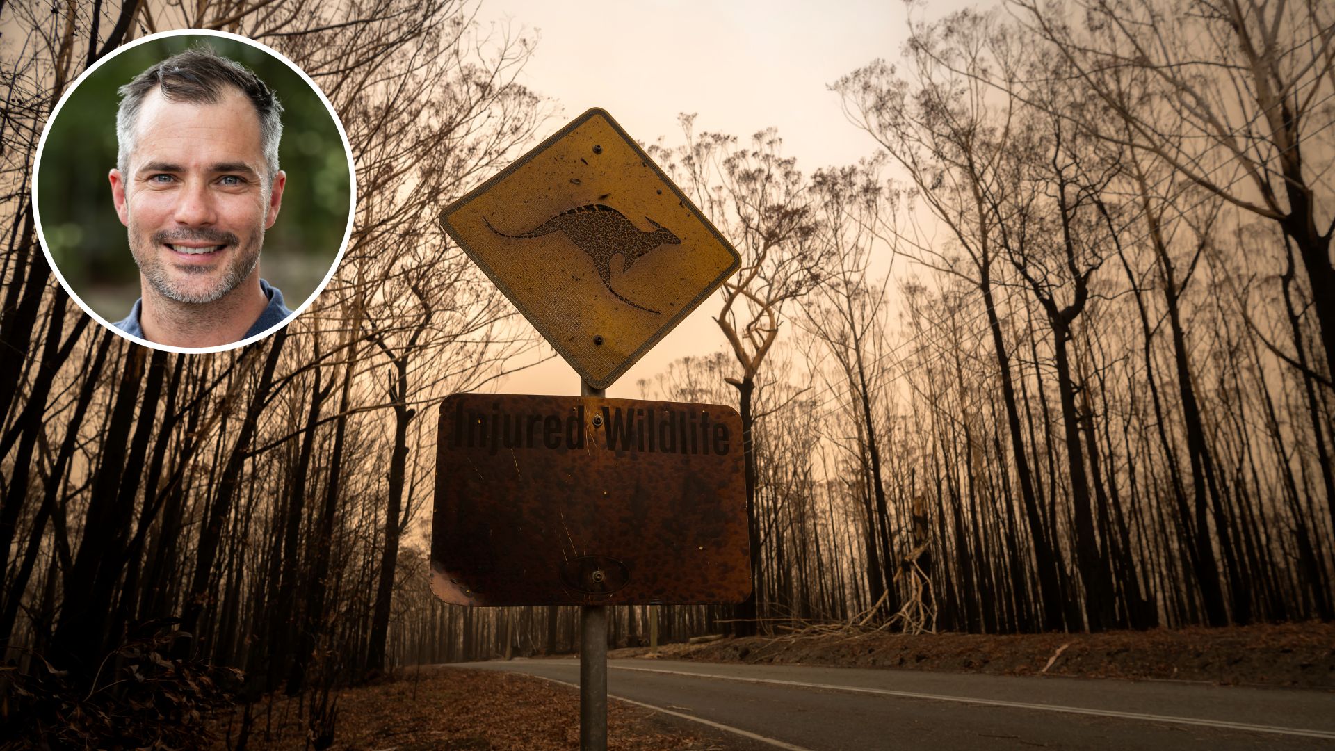 Research to reveal how – and if – Australia's native animals will survive ever-increasing bushfires 