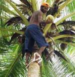 CSU academic Dr Peter Rushbrook captured his driver Alu in his village of Sipfir or Shipfire - named after the WWII bombing of a Japanese cargo ship. 