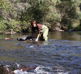 Charles Sturt study into rare animal sighting in Murrumbidgee wetlands -  CSU News